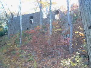 The Eyrie House Ruins